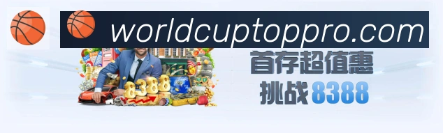 未来规划
